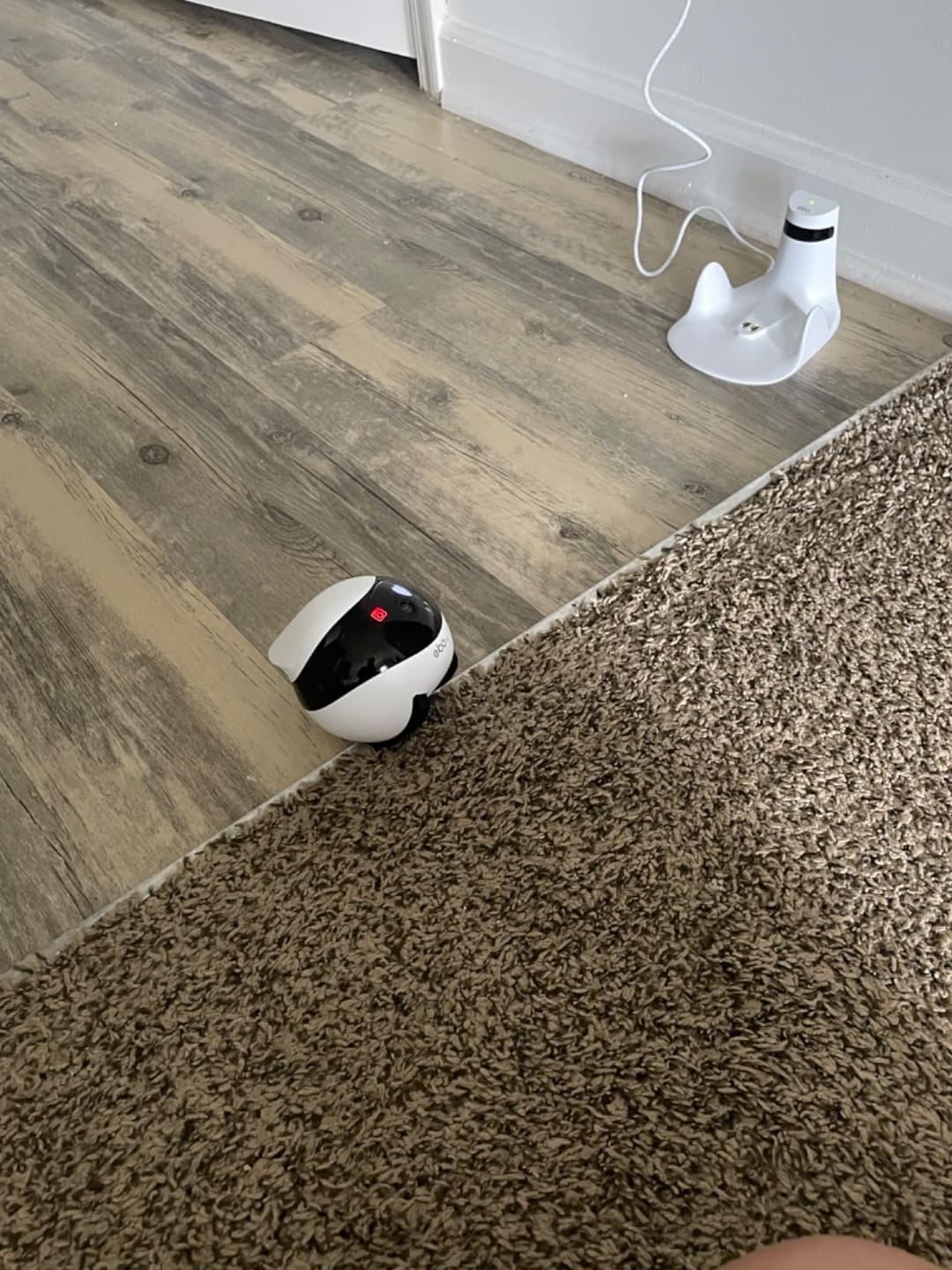 Customer photo review of Blinky Bot™ Expert