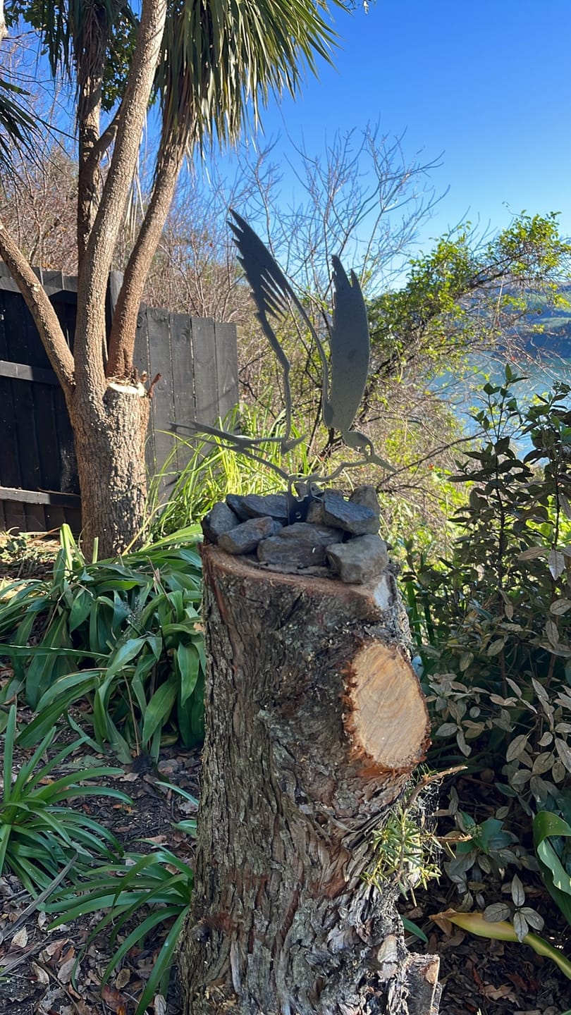 Customer photo review of Tara Iti / New Zealand Fairy Tern