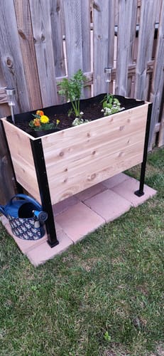Customer photo review of 18" x 36" Raised Garden Bed - 30" TALL