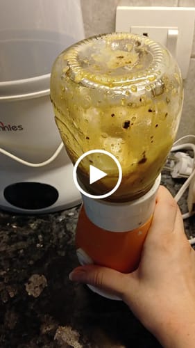 Customer video review of Solen Solo Mini Blender