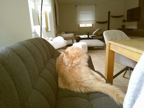 Customer photo review of NUVINT - Digitalkamera