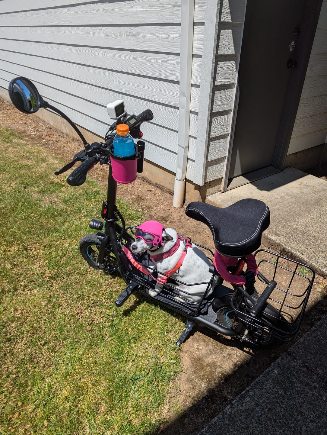 Customer photo review of Pet Cushion for C1S/C1PLUS Pet Travel Electric Scooter