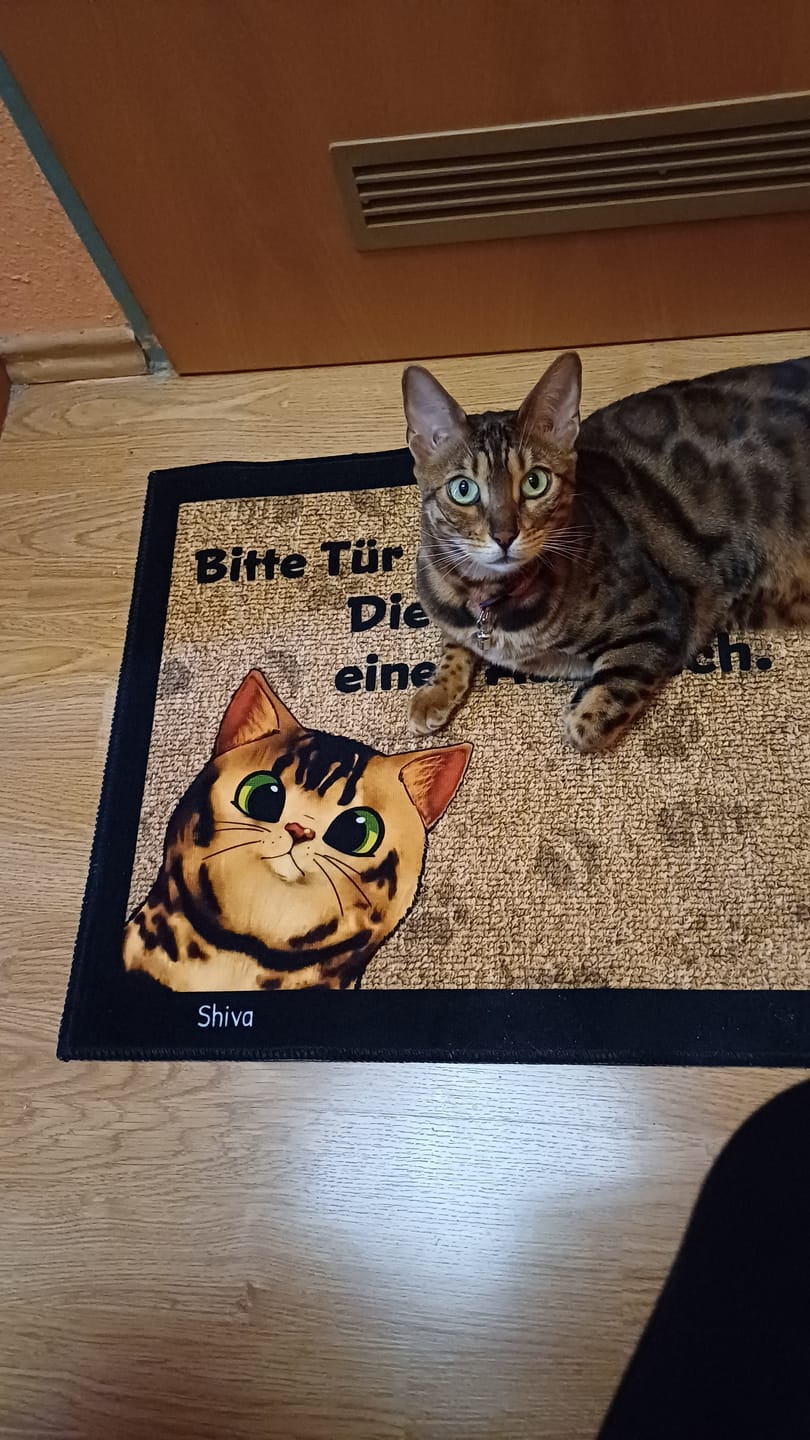 Customer photo review of Katzen planen einen Ausbruch - Individuelle Fußmatte