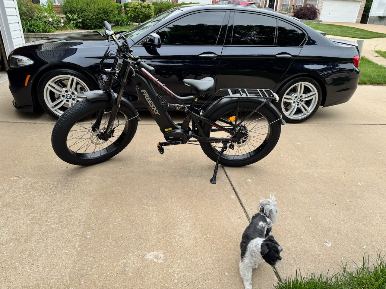 Customer photo review of Swift Horse Pro X-6E