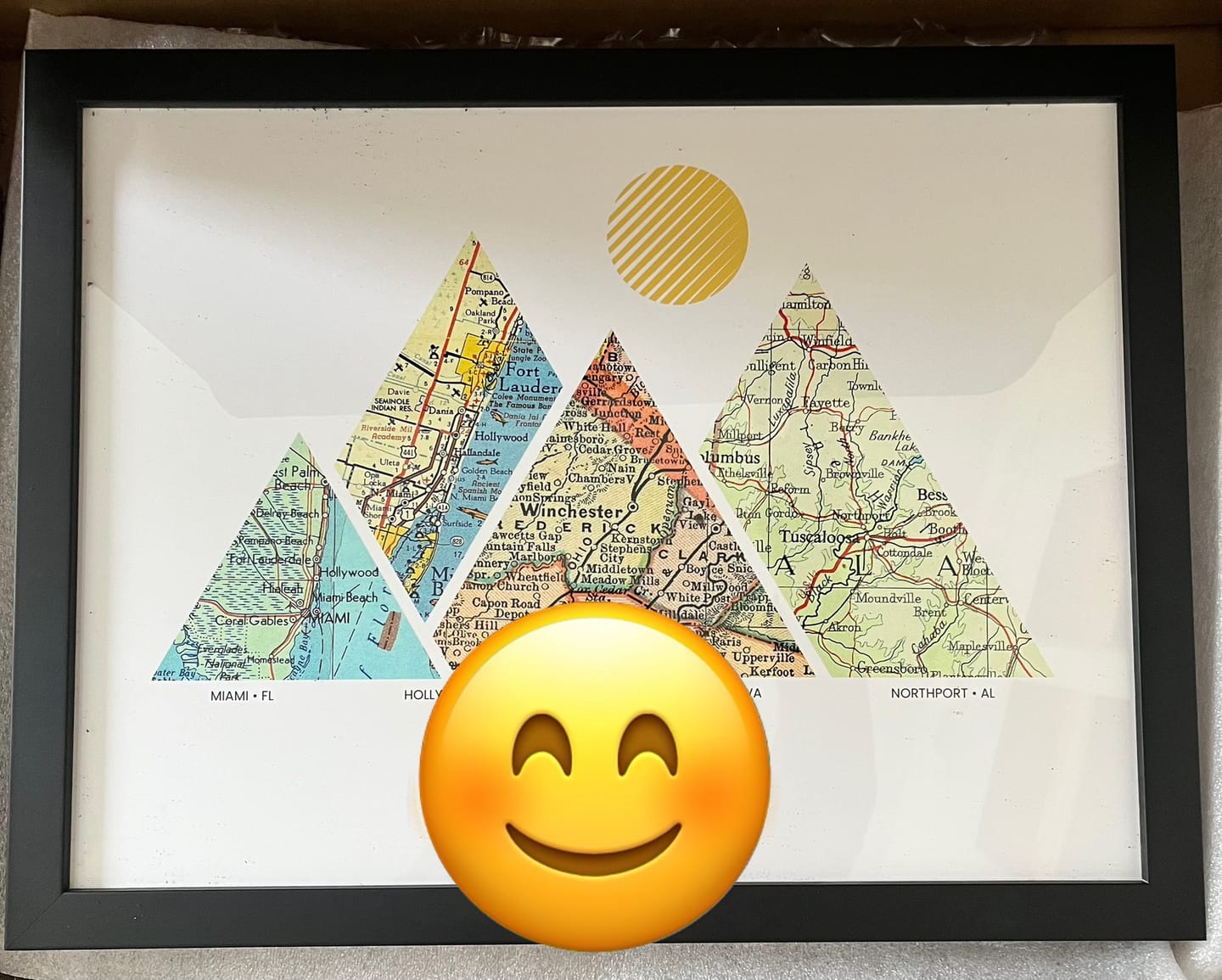 Customer photo review of Milestones Map [Digital Only]