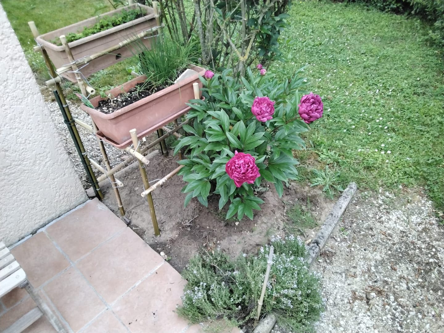 Customer photo review of Pack Boucles de Connexion pour Plantes Ultra-Résistant