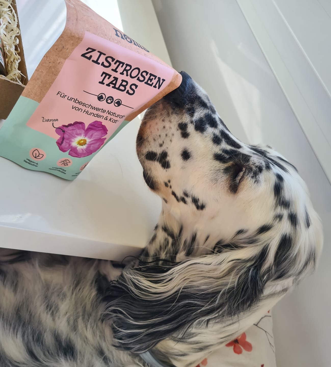 Customer photo review of Zistrosen Tabs - 100% natürliches Zistrosen-Leckerli für Wald- & Wiesenspaziergänge