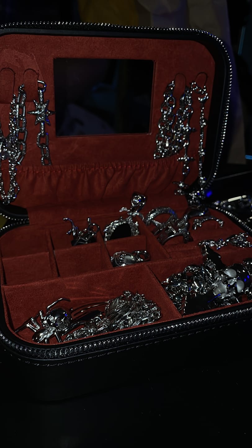 Customer photo review of DYT TRAVEL JEWELRY CASE