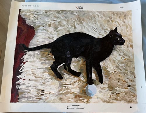 Customer photo review of Custom Paint by Number Kit