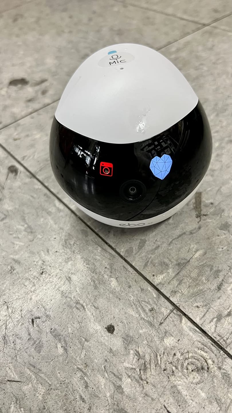 Customer photo review of Blinky Bot™ Expert
