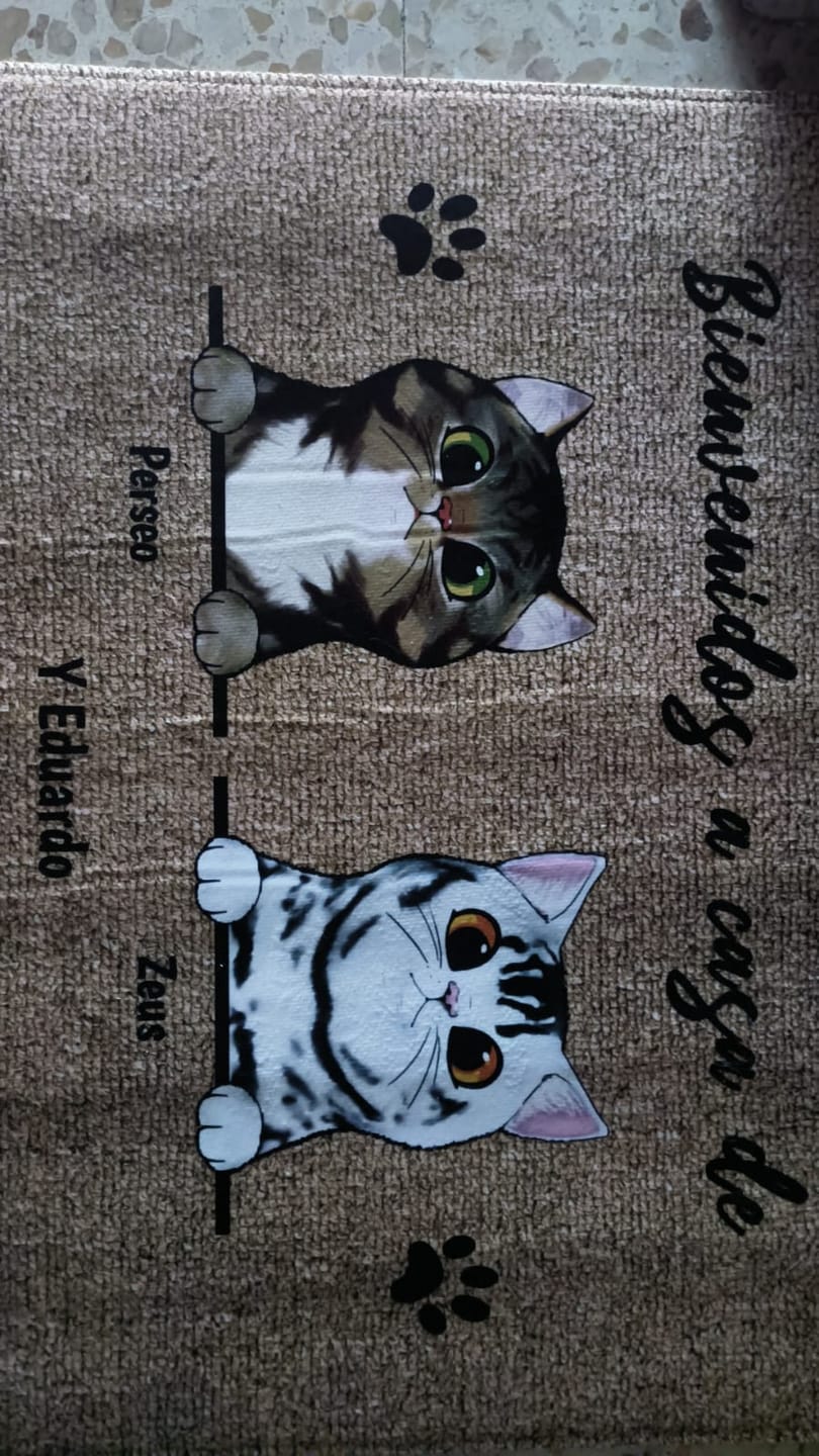 Customer photo review of Bienvenidos a lo de gatos curiosos - Felpudo personalizado