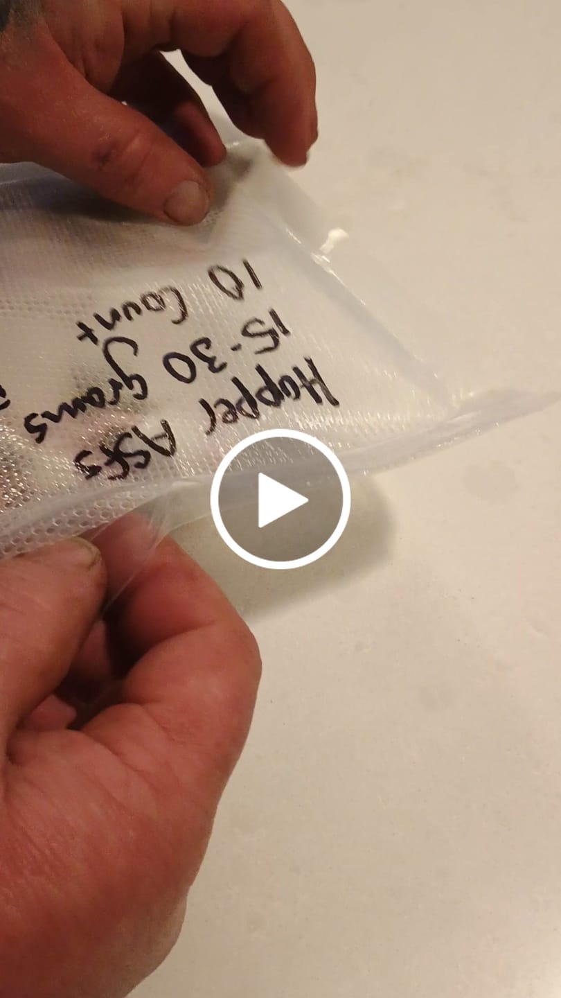 Customer video review of Small African Soft Fur Rats (10 Count)