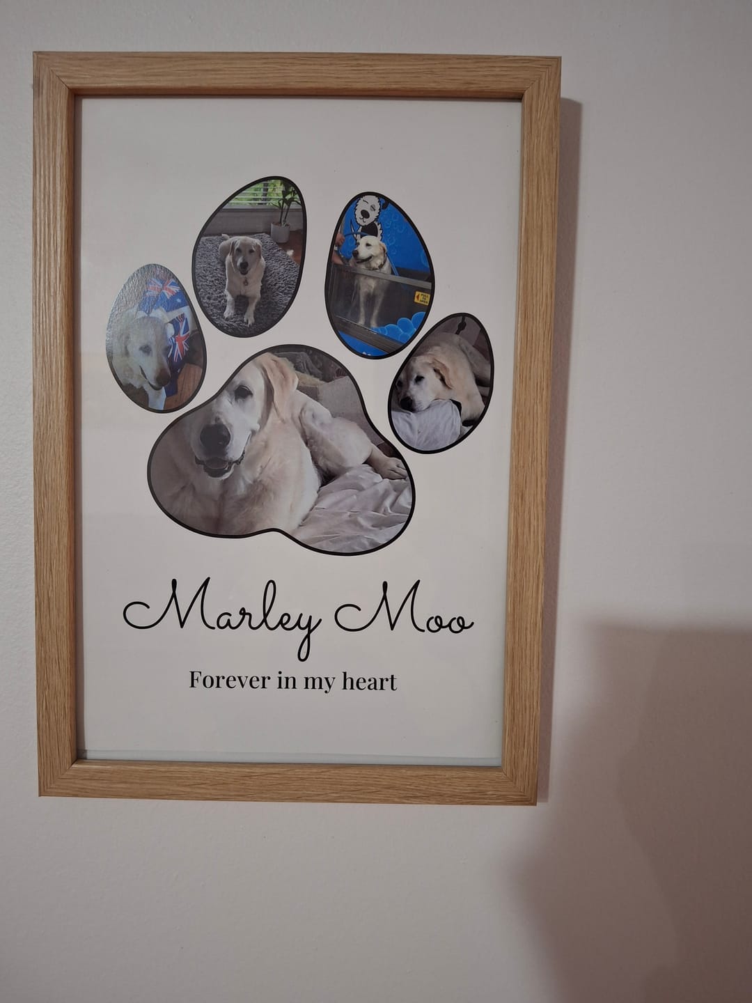 Customer photo review of Paw Print - Personalized poster