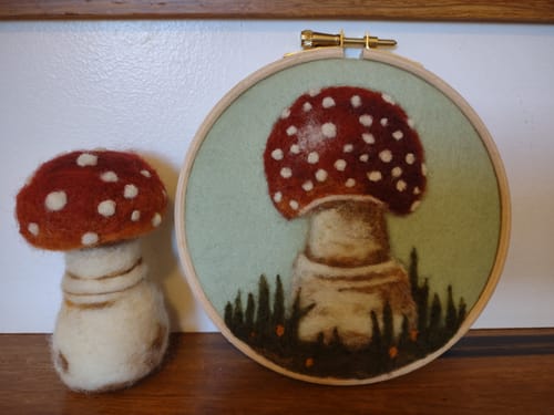 Customer photo review of Sophie Wheatley's Felted Fungi Supplies Box