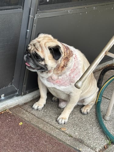 Customer photo review of Culebra