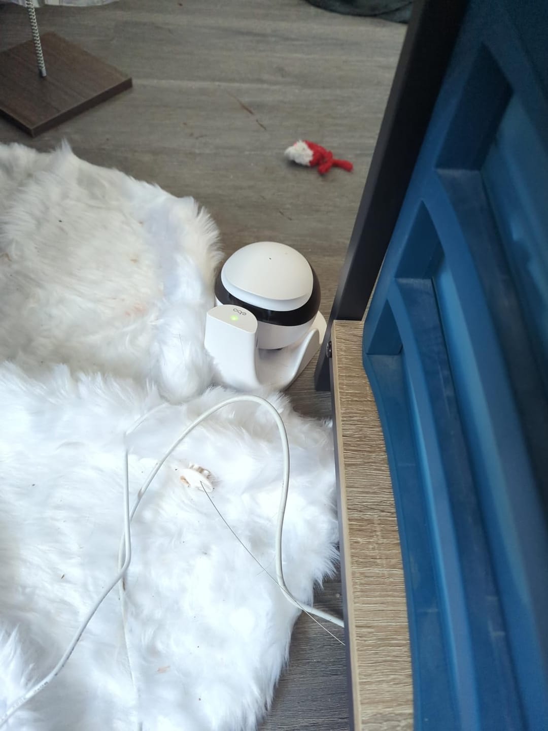 Customer photo review of Blinky Bot™ Expert