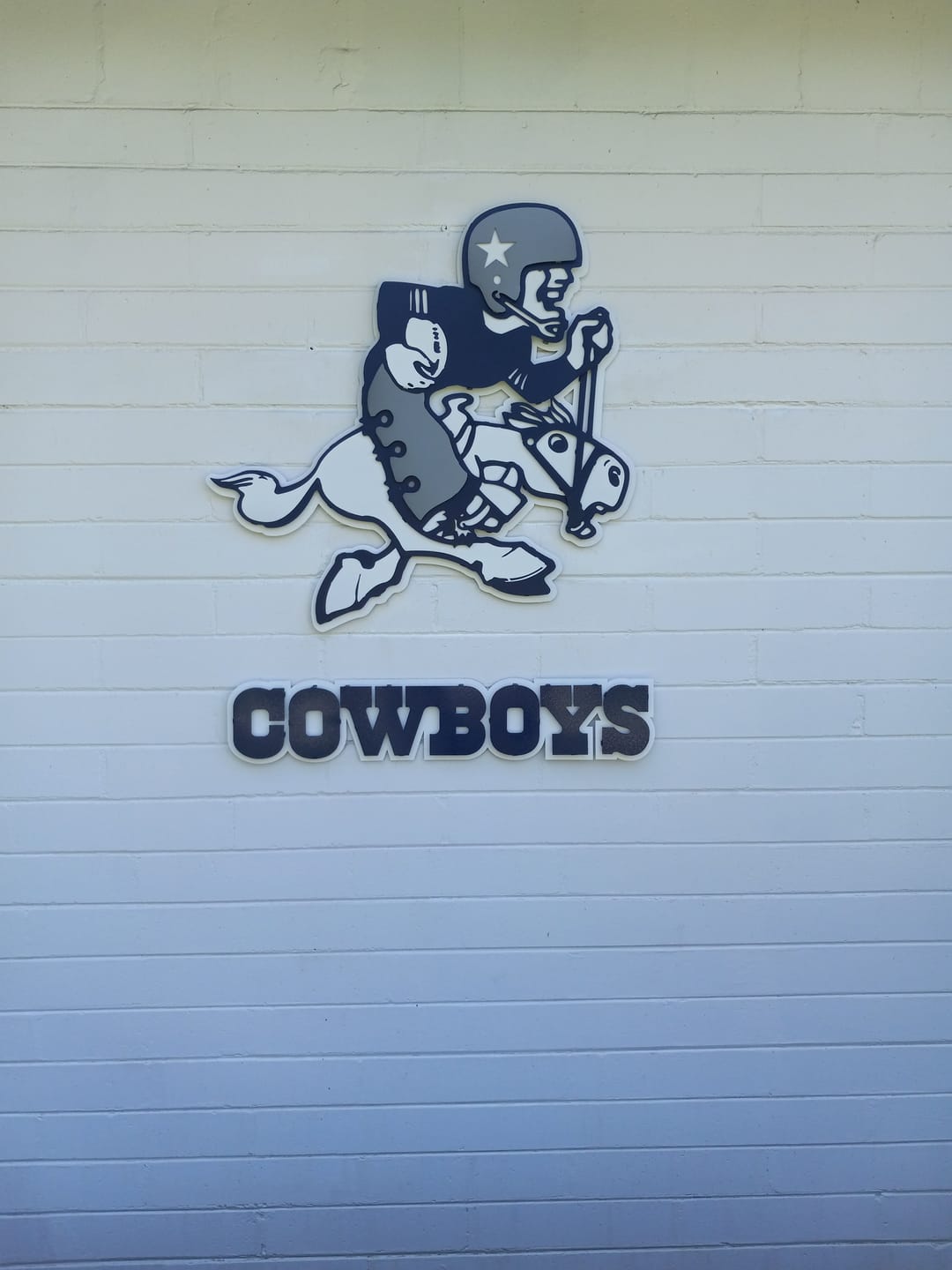 Customer photo review of Dallas Cowboys "COWBOYS" 3D Vintage Metal Wall Art