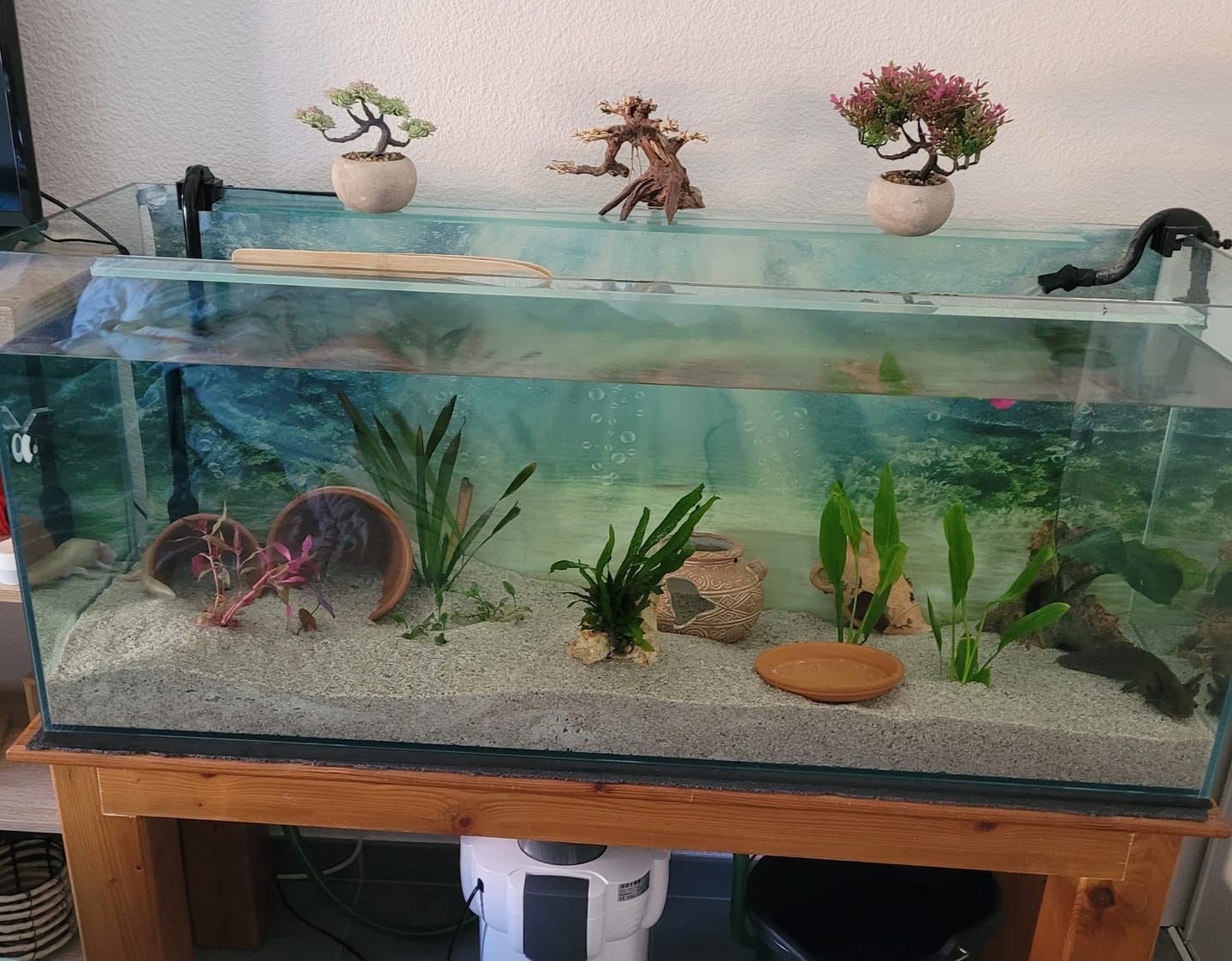 Customer photo review of Cuve Nue en Verre SCALARE - 240 L