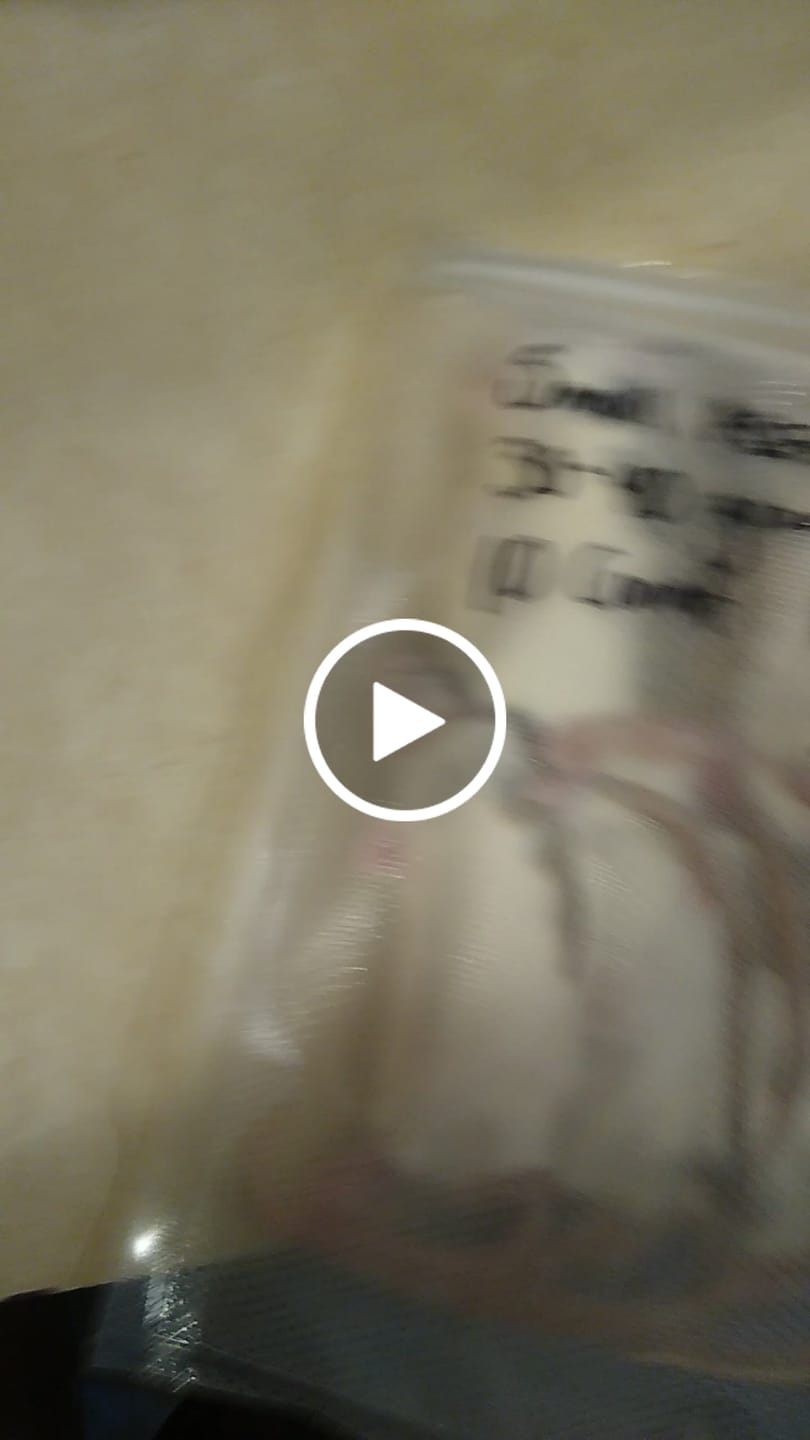 Customer video review of Small African Soft Fur Rats (10 Count)