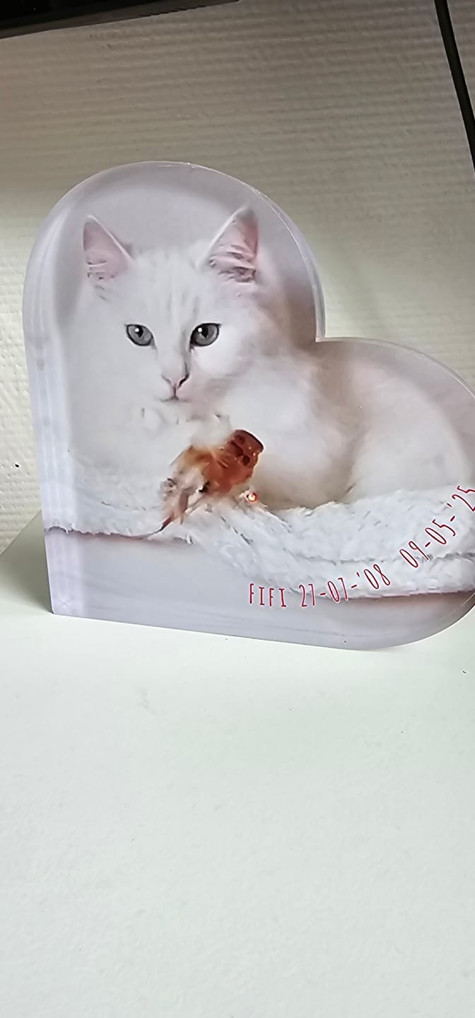Customer photo review of Eigen foto - Gepersonaliseerd glazen hart