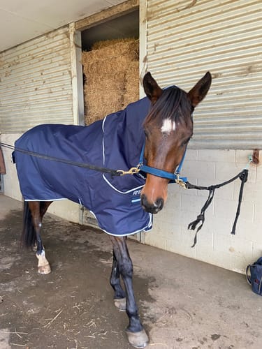 Customer photo review of Amigo Ripstop 900D Plus Turnout 200g