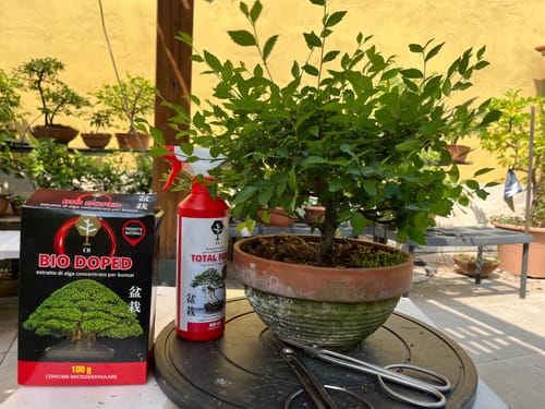 Customer photo review of TOTAL FORCE CB® X2