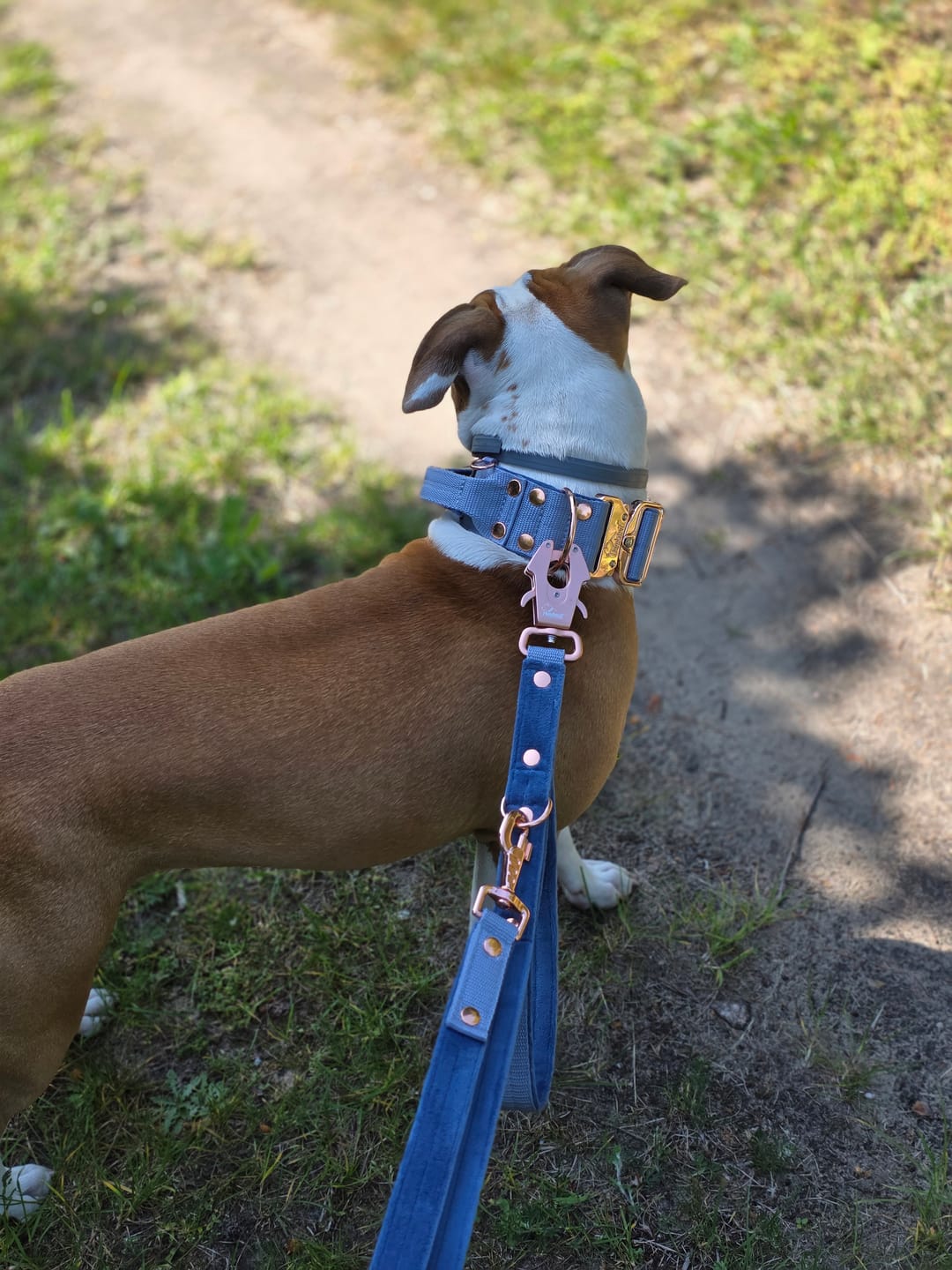 Customer photo review of Smycz przepinana z dodatkową raczką - Multi Guard Leash Rose Edition Pastel Blue