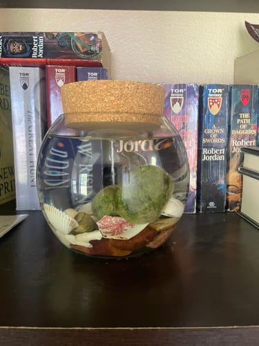 Customer photo review of Size 52 Agglomerated Jar Corks