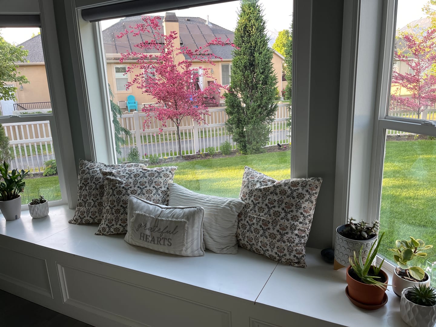 Customer photo review of Fannie - 18" | 22"
