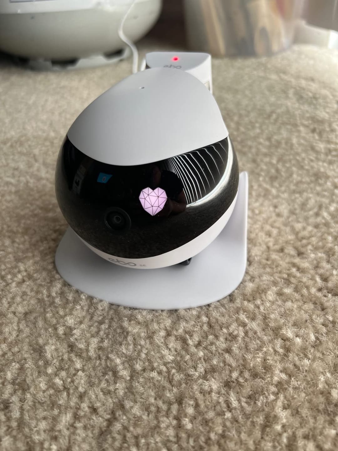 Customer photo review of Blinky Bot™ Expert