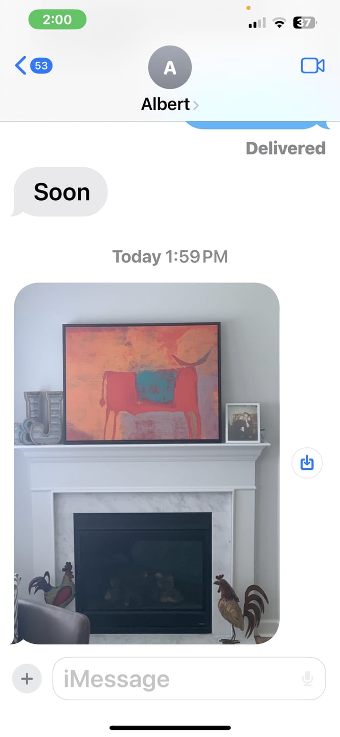 Customer photo review of Toro Rojo