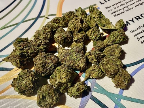 Customer photo review of Pineapple Express THCA Flower
