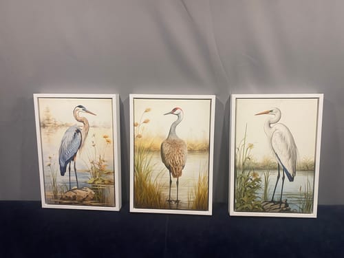 Customer photo review of Set of 3 Coastal Birds Framed Canvas Wall Art - Blue Heron, Great Egret, Sandhill Crane
