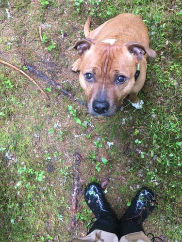 Customer photo review of Vaistoa Katve -paljasjalkakumisaappaat