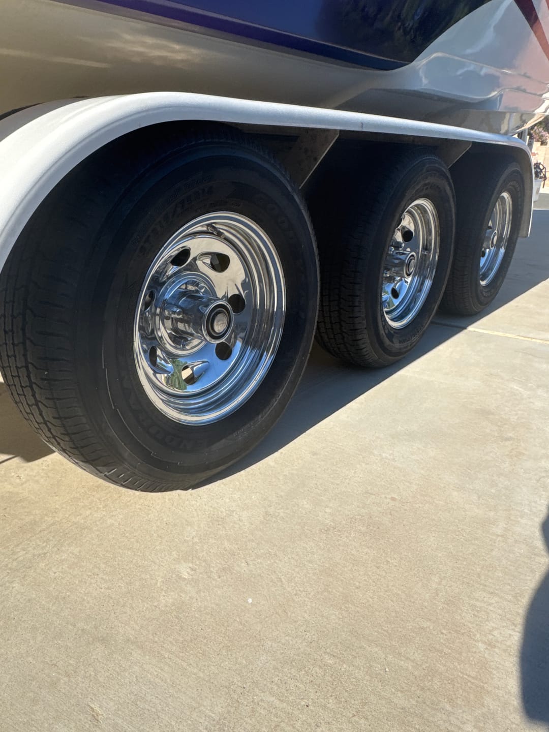 Customer photo review of Wise Guy - Gallon