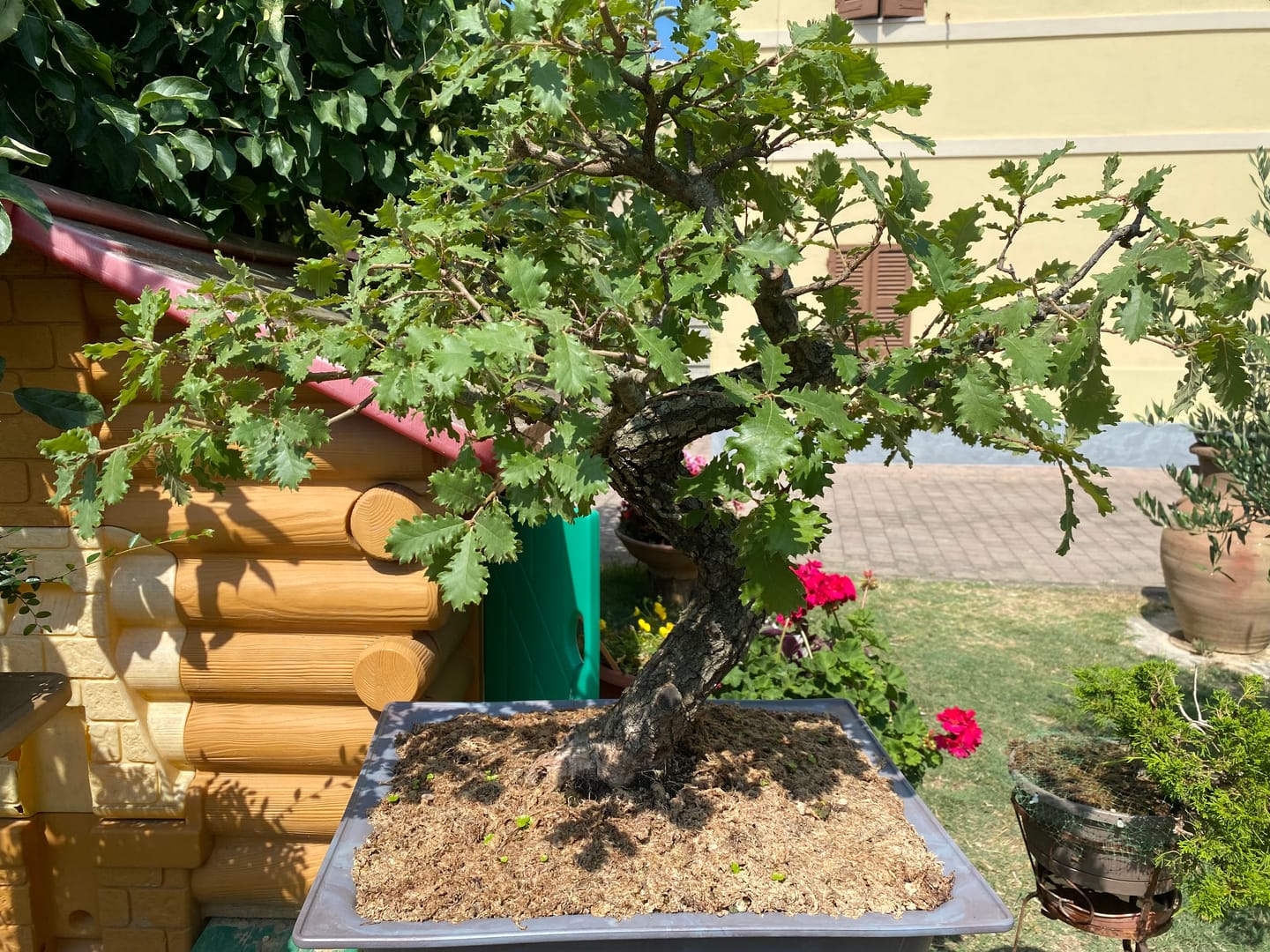 Customer photo review of ESTATE PACK