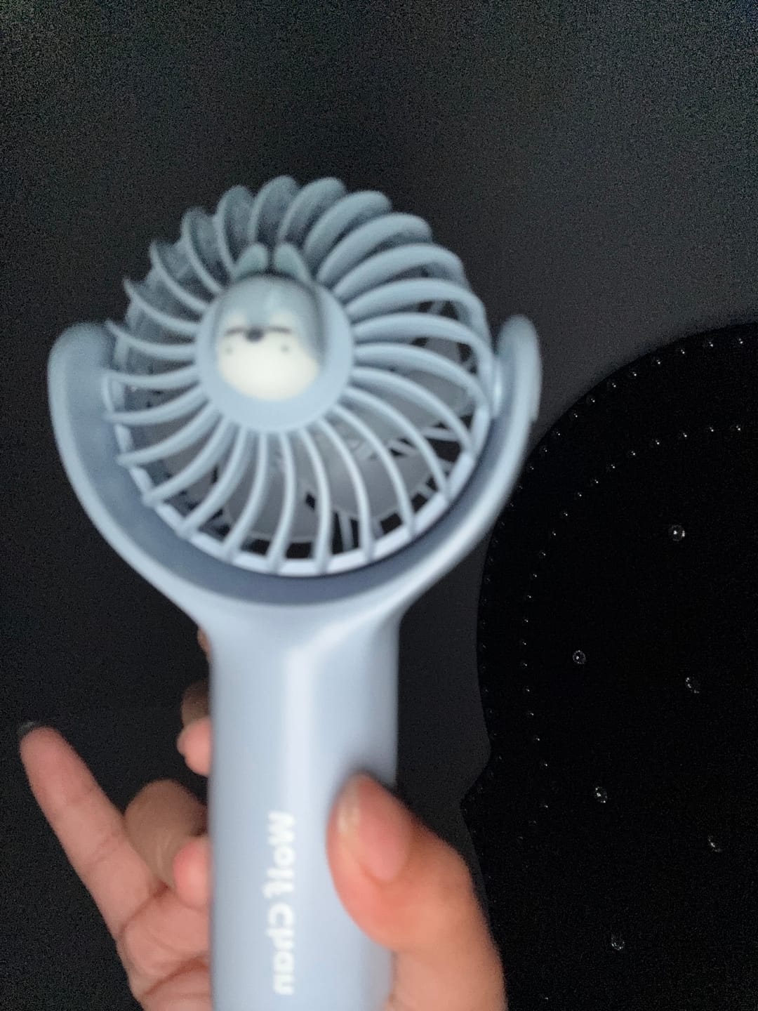 Customer photo review of STRAY KIDS - dominATE SEOUL WORLD TOUR OFFICIAL MD SKZOO HANDHELD FAN