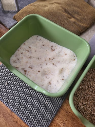 Customer photo review of 3 Month Supply - 2 Cats