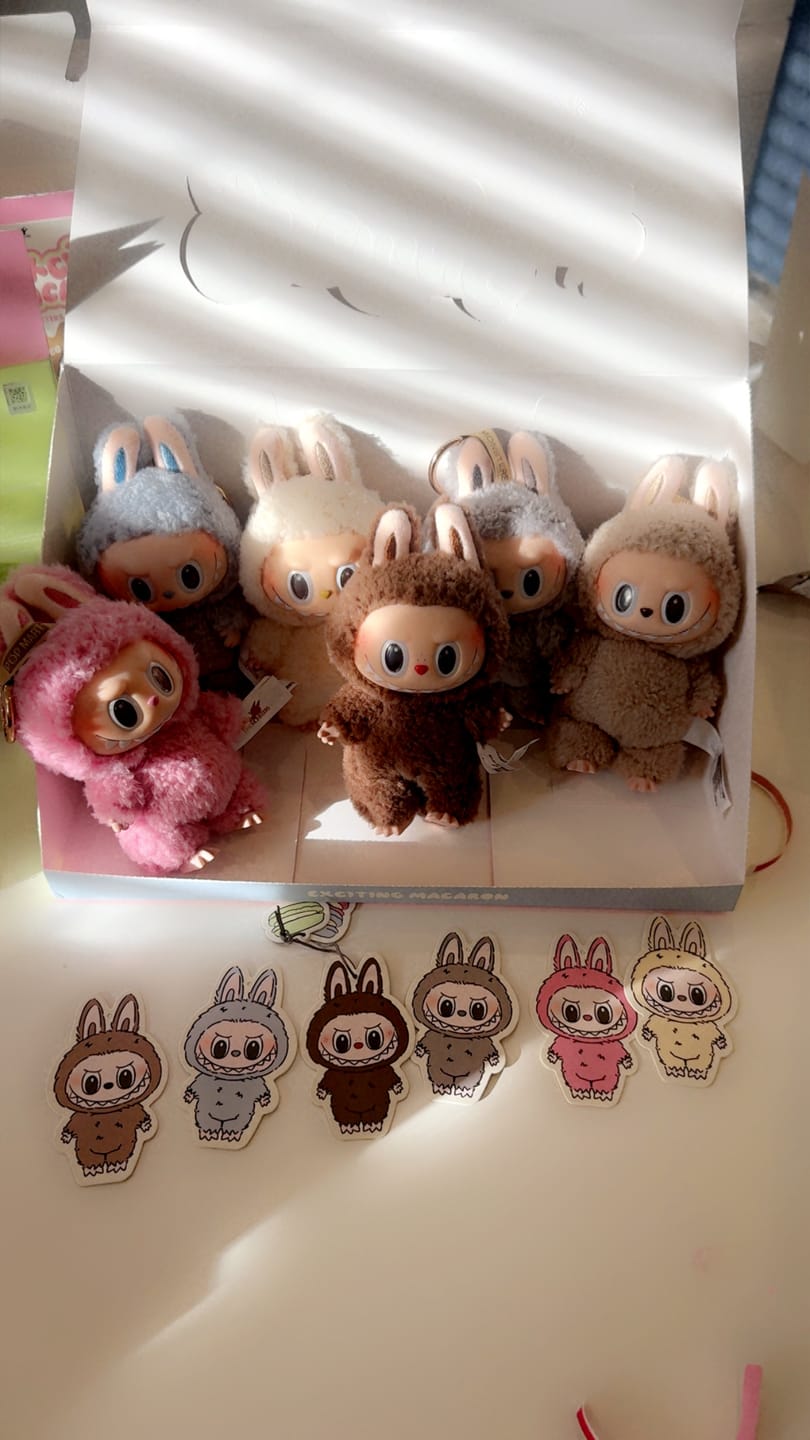 Customer photo review of Pop Mart Labubu The Monsters Big into Energy Series Vinyl Plush Pendant Sealed Case (6 Blind Boxes)