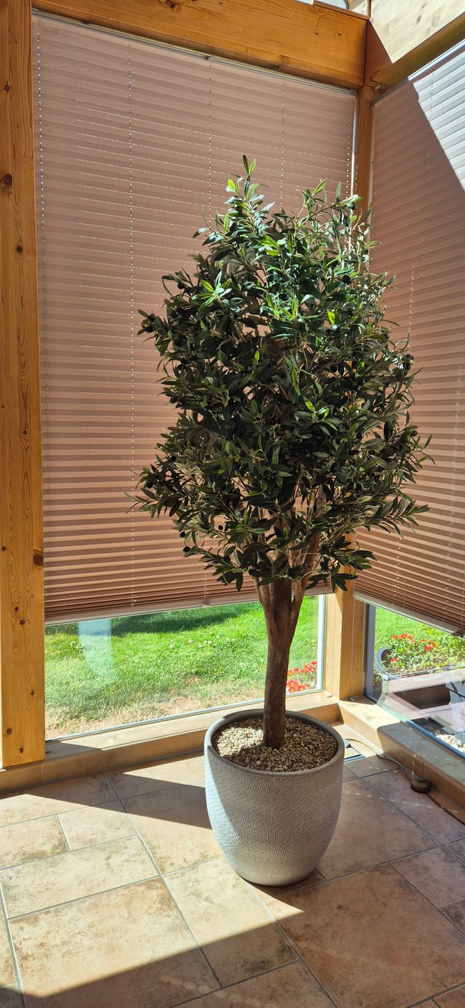 Customer photo review of Künstlicher Olivenbaum 170cm Deluxe