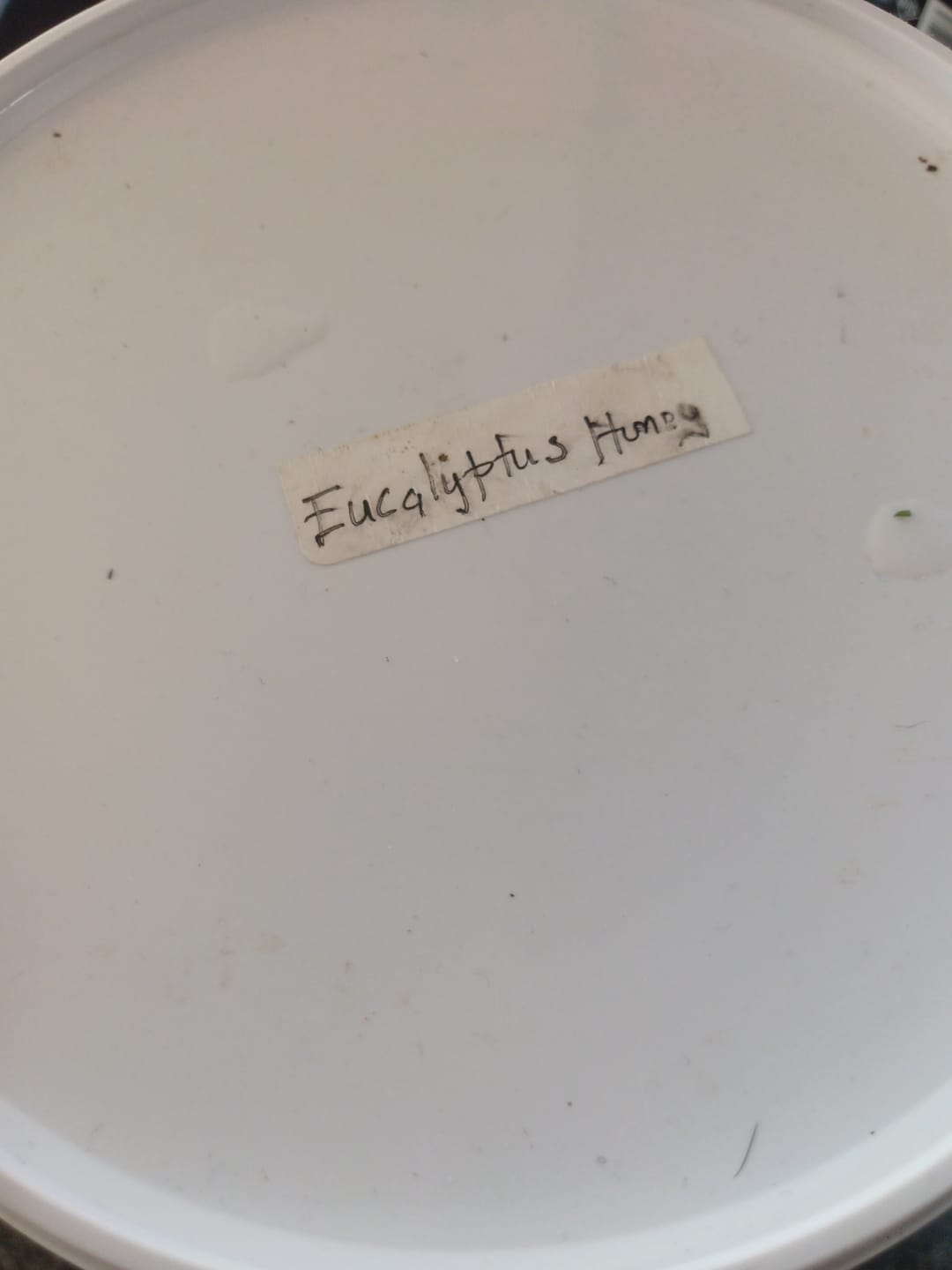 Customer photo review of 3kg Eucalyptus Honey
