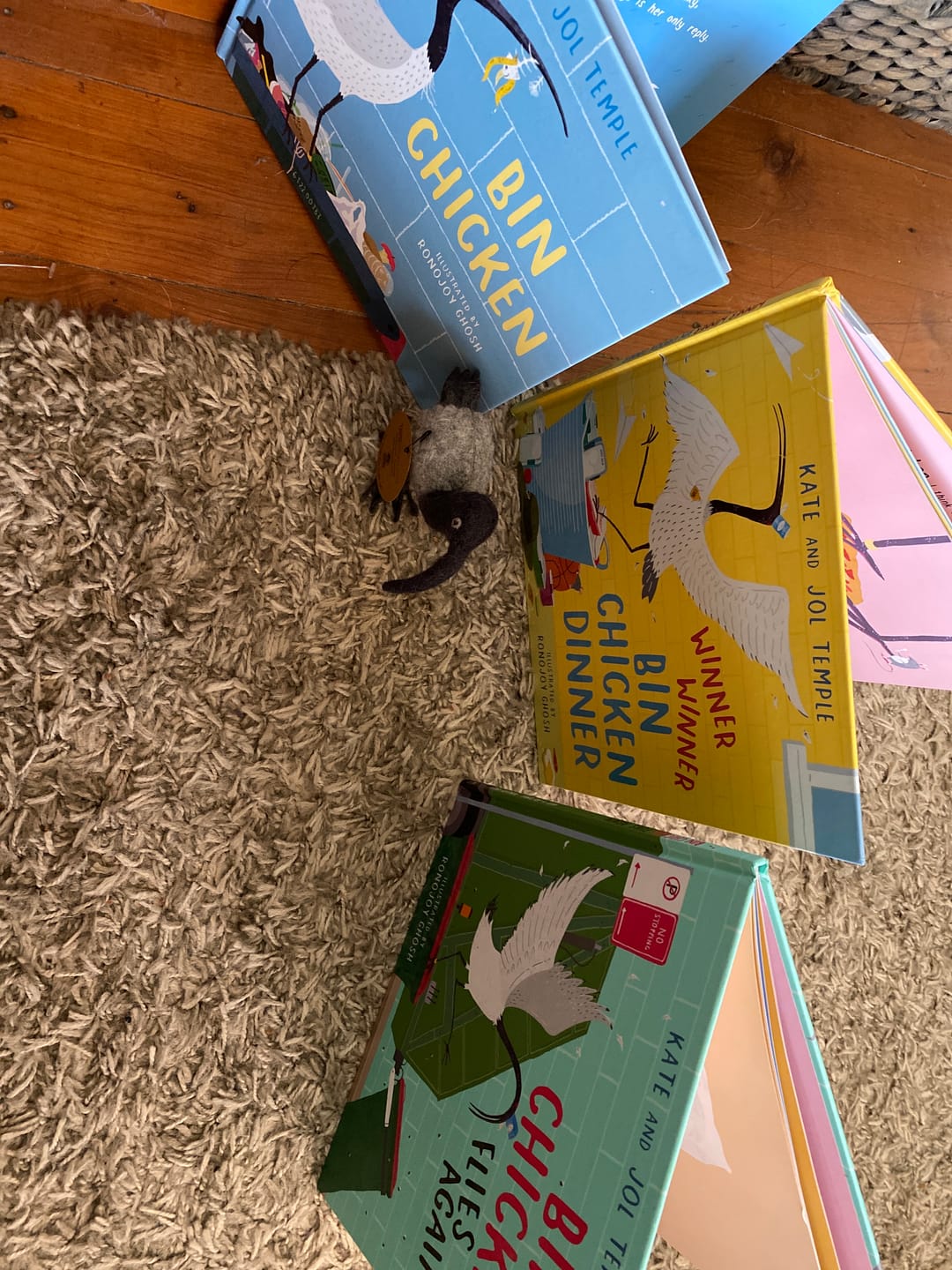 Customer photo review of Felt Bin Chicken (Australian White Ibis) Toy