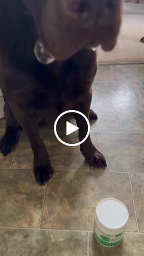 Customer photo review of Hip & Joint Health Chews for Dogs