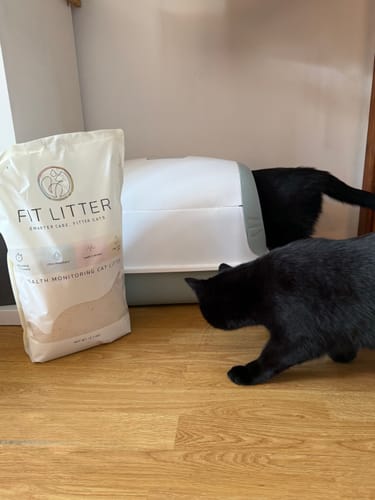 Customer photo review of 1 Month Supply – 1 Cat