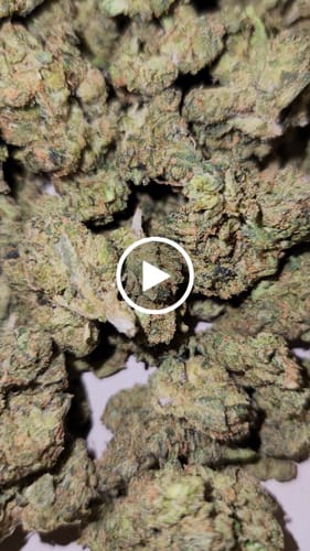 Customer video review of Pineapple Express THCA Flower