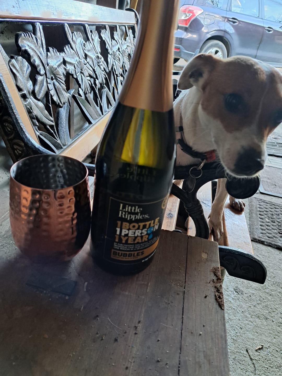 Customer photo review of Sparkling - Single Bottle