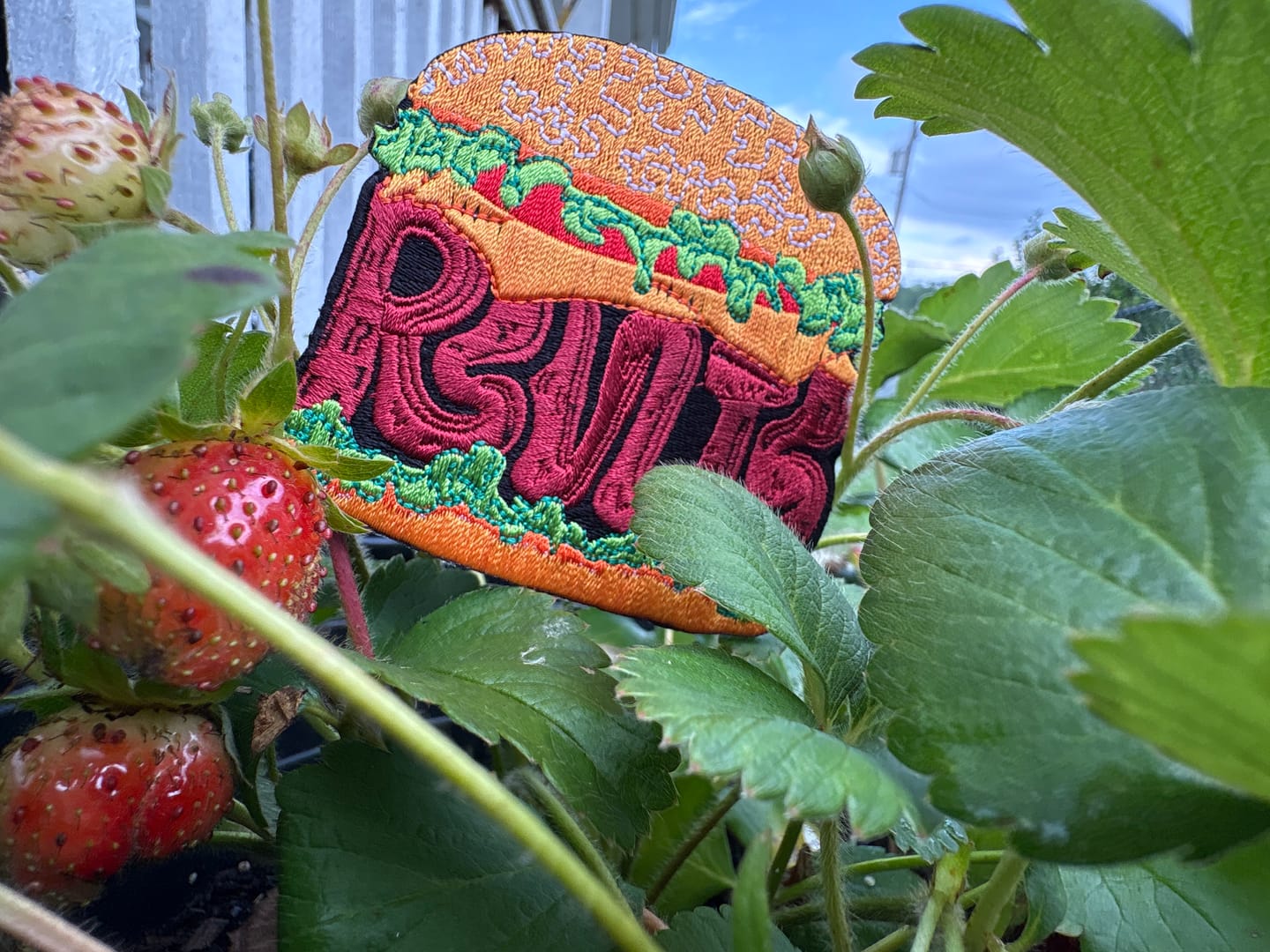 Customer photo review of "RSVLTS Quarter Pounder" – Patch