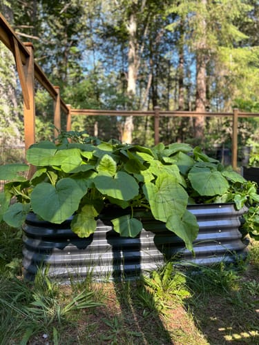 Customer photo review of 17” Tall Modular 9 in 1