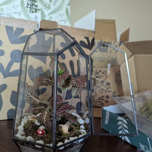 Review photo by Lillian Zhou