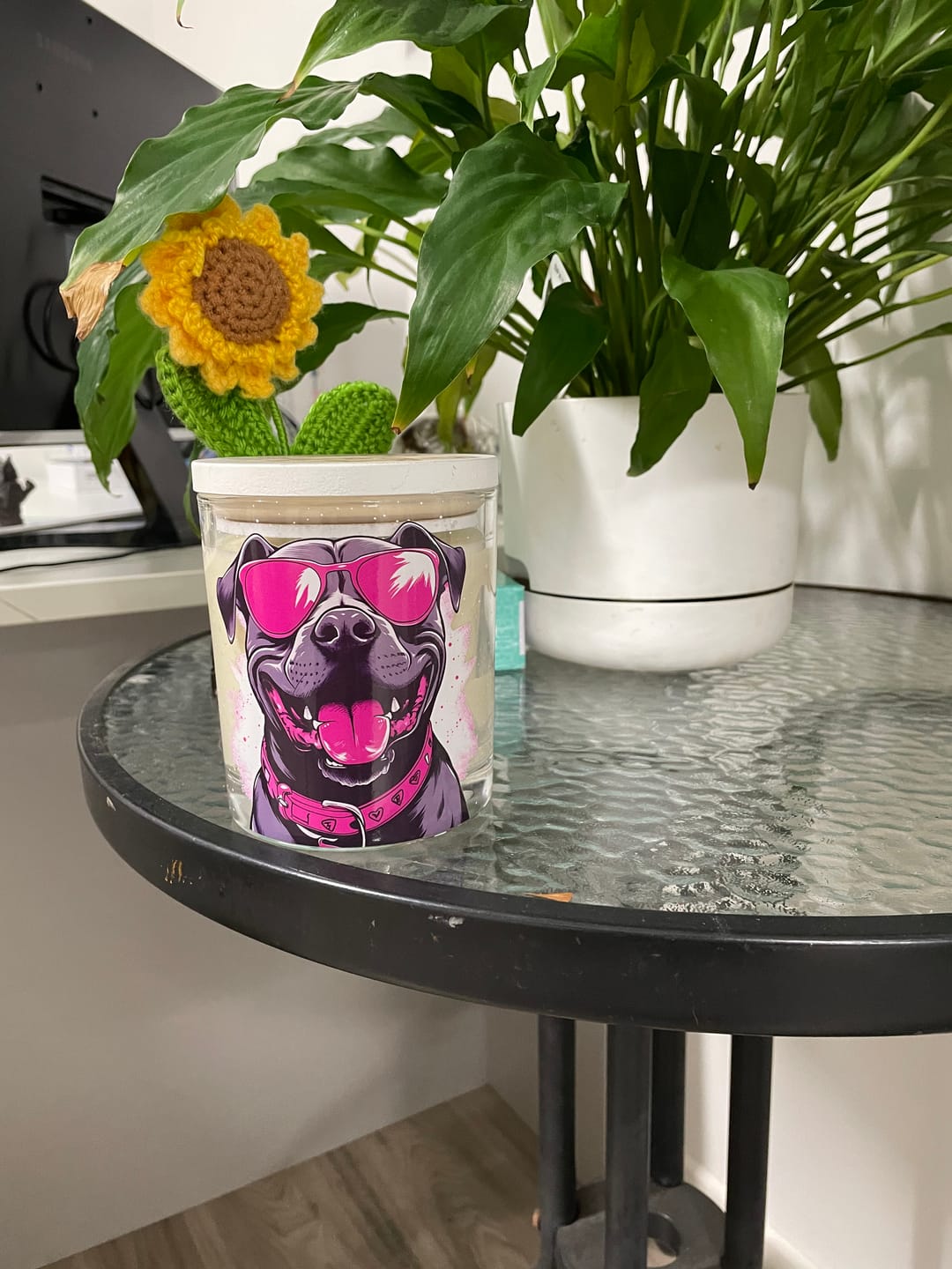 Customer photo review of Staffy Wearing Pink Sunnies Xlarge Candle